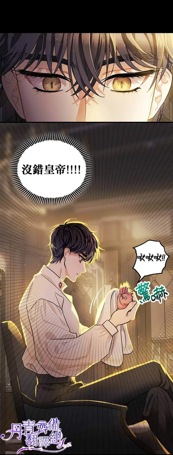 漫画《暴君的精神安定剂》第5话第24张图