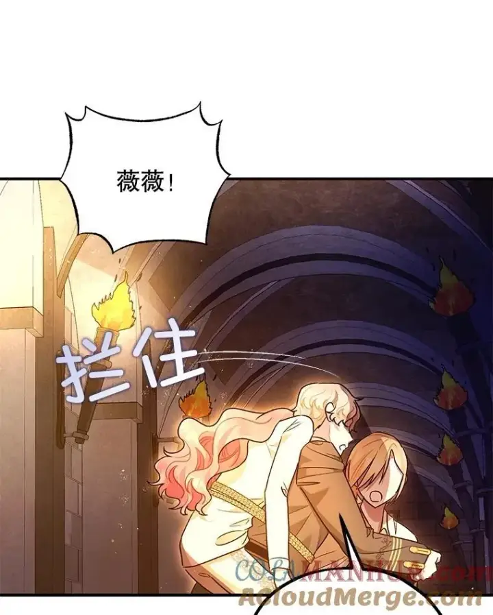 漫画《暴君的精神安定剂》89.重重难关第25张图