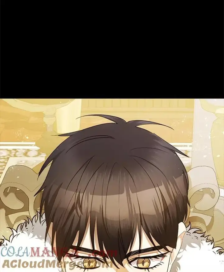 漫画《暴君的精神安定剂》96.对峙第101张图