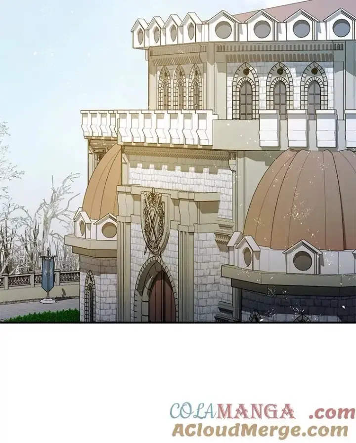 漫画《暴君的精神安定剂》100.寻找莉拉第17张图