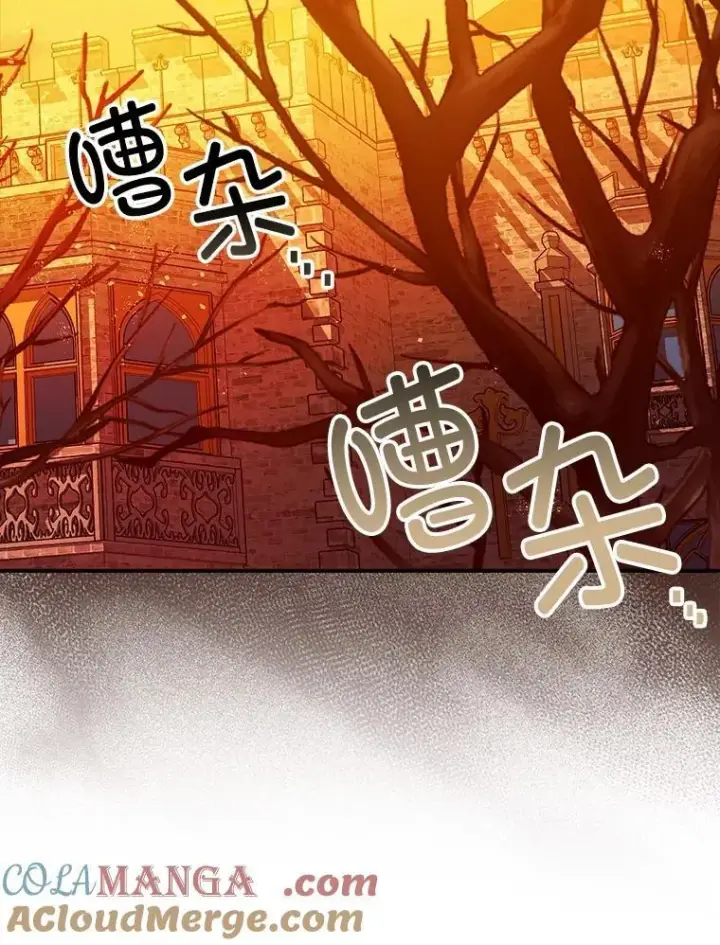漫画《暴君的精神安定剂》102.制造灾难第45张图