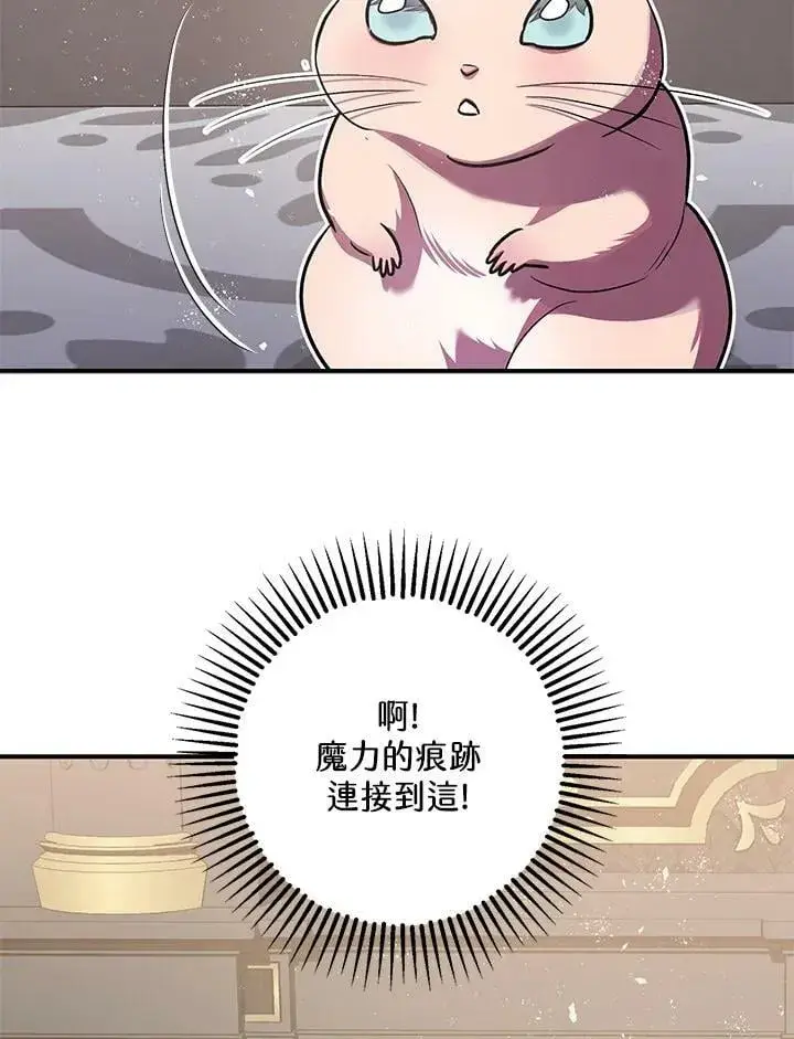 漫画《暴君的精神安定剂》第76话第111张图
