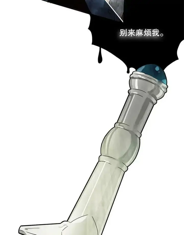 漫画《被嫌弃的私生女》2.陌生的丝绒之城第11张图