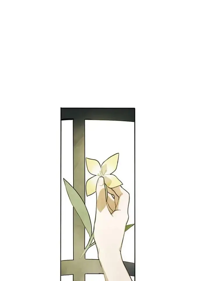 漫画《被嫌弃的私生女》2.陌生的丝绒之城第51张图