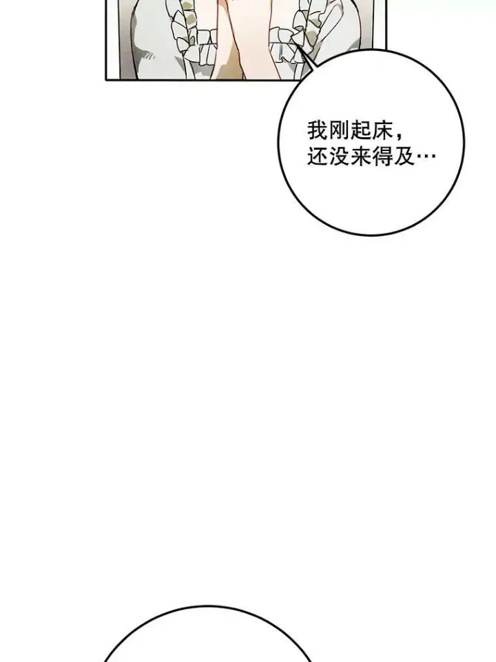 漫画《被嫌弃的私生女》2.陌生的丝绒之城第78张图