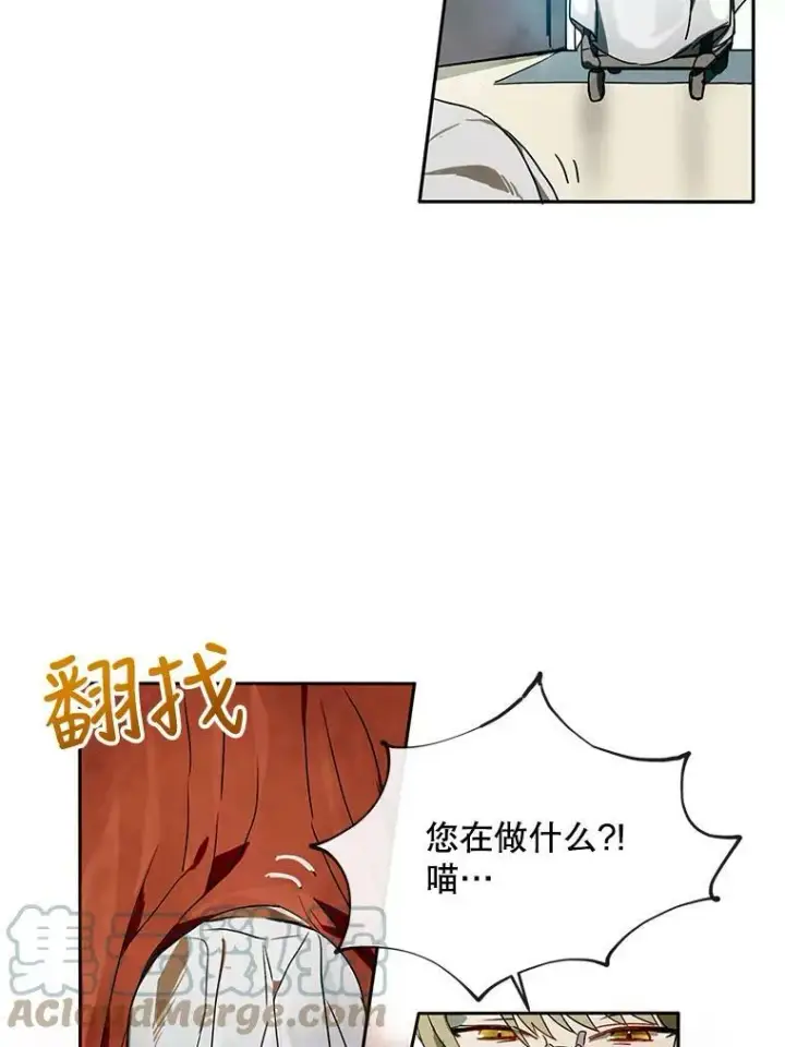 漫画《被嫌弃的私生女》2.陌生的丝绒之城第82张图