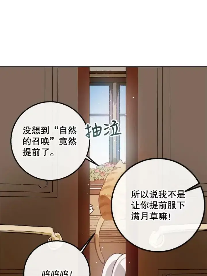 漫画《被嫌弃的私生女》6.安蒂克出丑第20张图