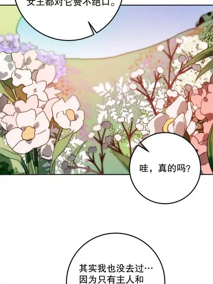 漫画《被嫌弃的私生女》6.安蒂克出丑第57张图