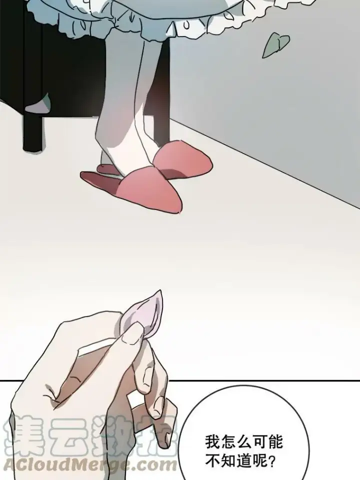 漫画《被嫌弃的私生女》20.公主一定会爱上王子第58张图