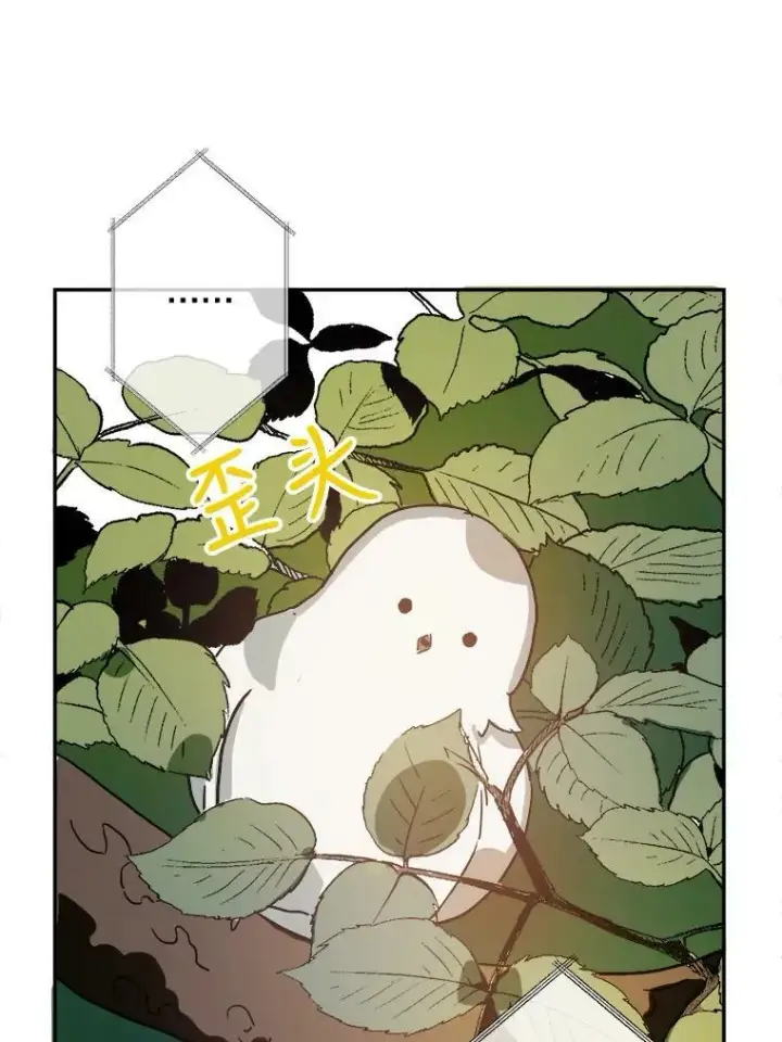 漫画《被嫌弃的私生女》23.会说话的小鸟第30张图