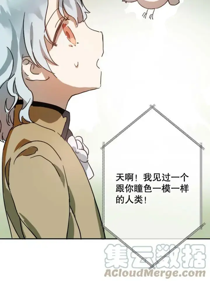 漫画《被嫌弃的私生女》23.会说话的小鸟第61张图