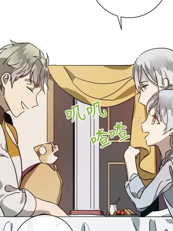 漫画《被嫌弃的私生女》28.对伊德尔的误会第21张图