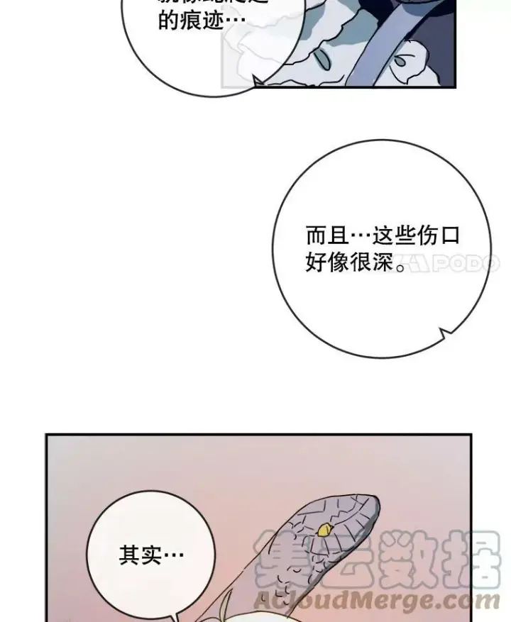 漫画《被嫌弃的私生女》28.对伊德尔的误会第79张图