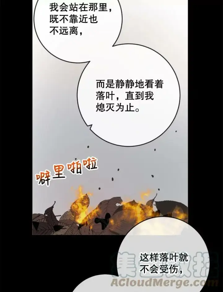 漫画《被嫌弃的私生女》30.火焰和落叶第13张图