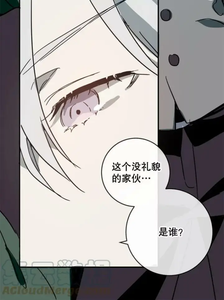 漫画《被嫌弃的私生女》30.火焰和落叶第31张图