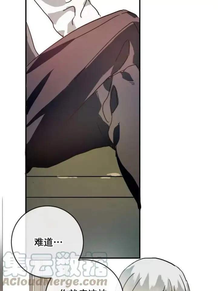 漫画《被嫌弃的私生女》30.火焰和落叶第55张图