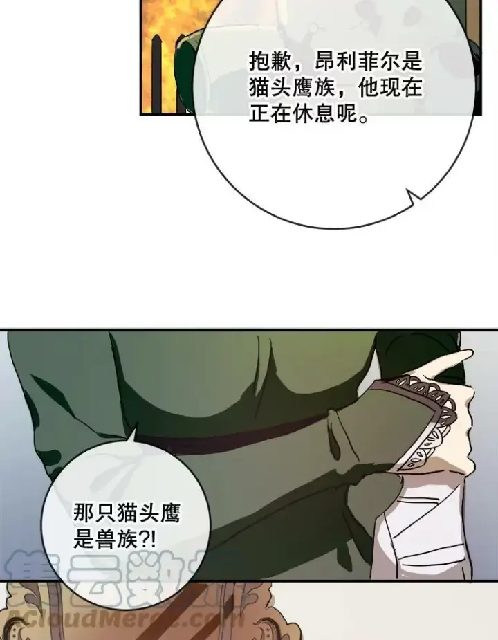 漫画《被嫌弃的私生女》31.书里的秘密（1）第13张图