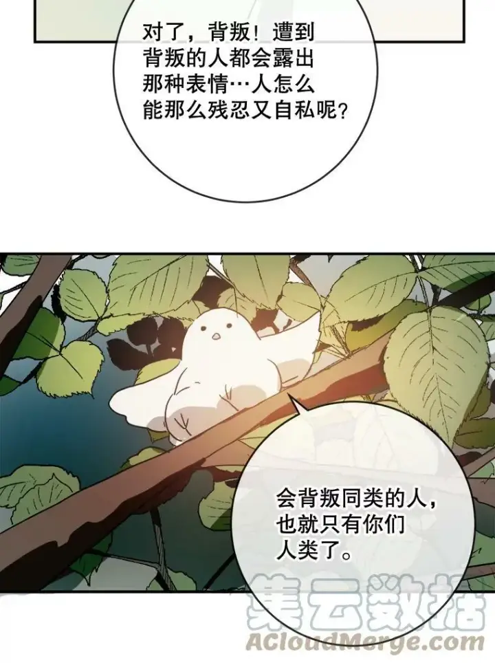 漫画《被嫌弃的私生女》31.书里的秘密（1）第46张图