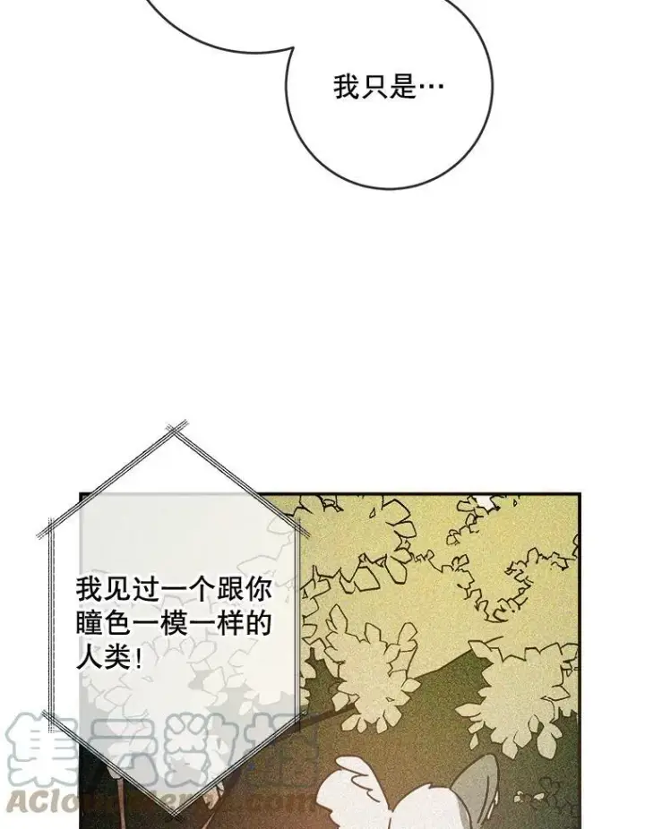 漫画《被嫌弃的私生女》32.书里的秘密（2）第13张图