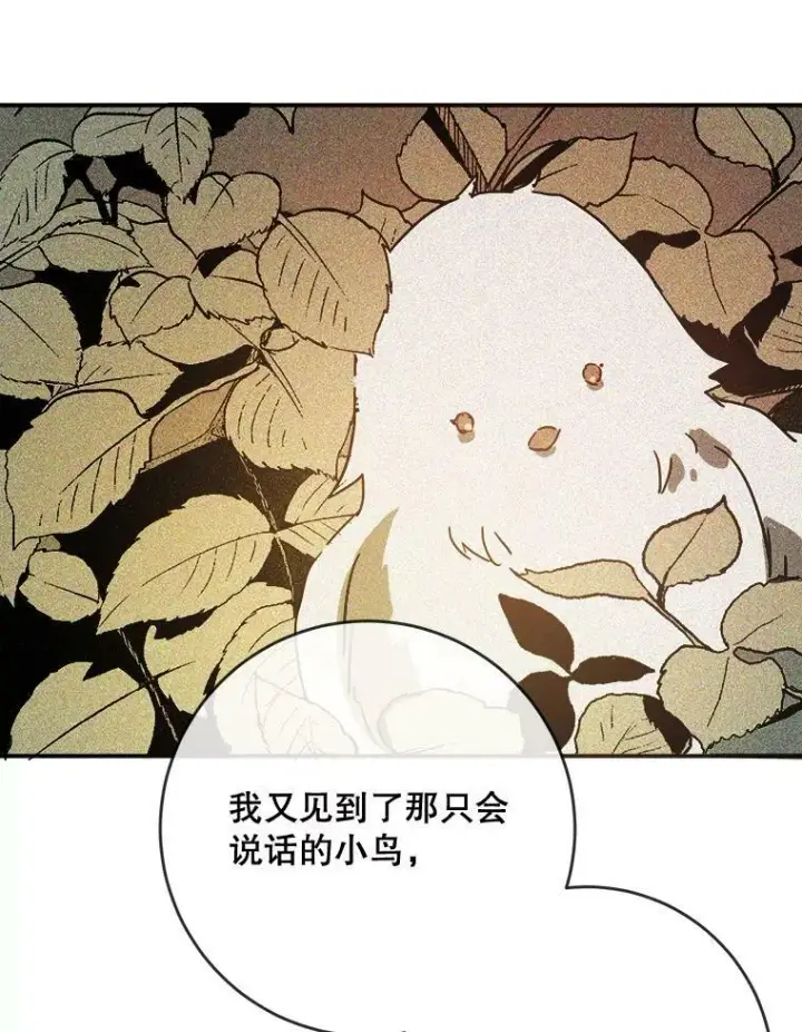 漫画《被嫌弃的私生女》32.书里的秘密（2）第15张图