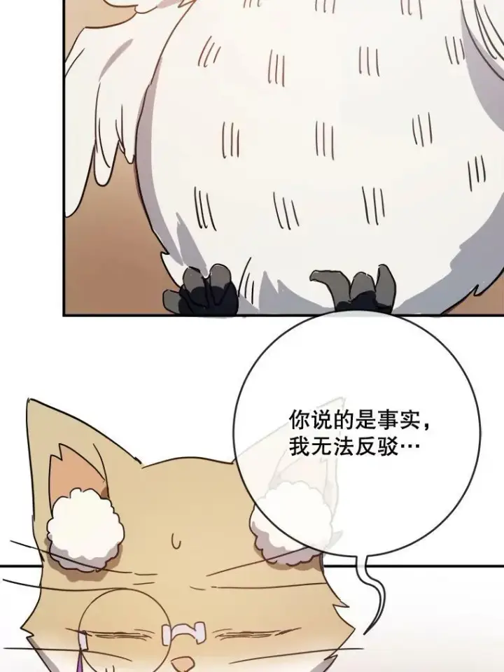 漫画《被嫌弃的私生女》32.书里的秘密（2）第36张图