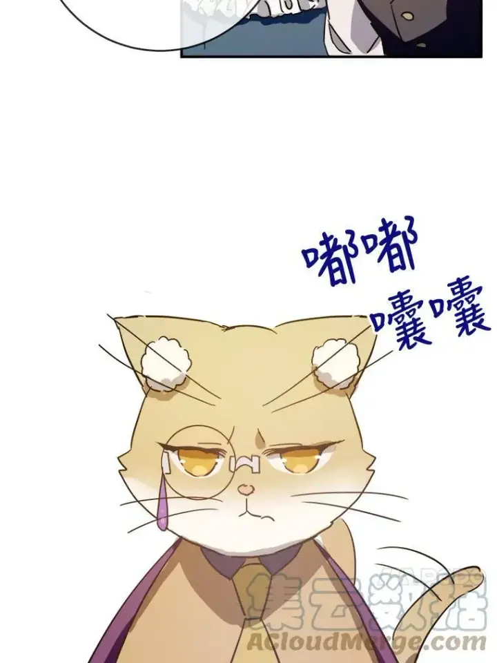 漫画《被嫌弃的私生女》32.书里的秘密（2）第43张图