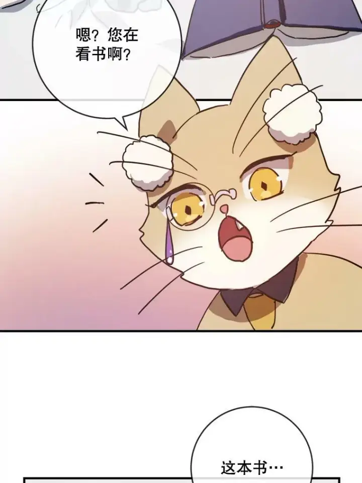 漫画《被嫌弃的私生女》33.书里的秘密（3）第26张图