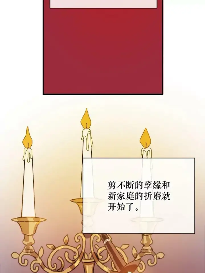 漫画《被嫌弃的私生女》33.书里的秘密（3）第68张图