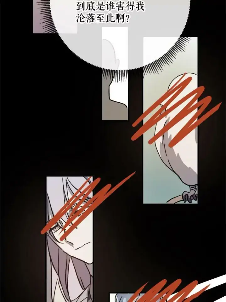漫画《被嫌弃的私生女》41.寻找塔拉第29张图