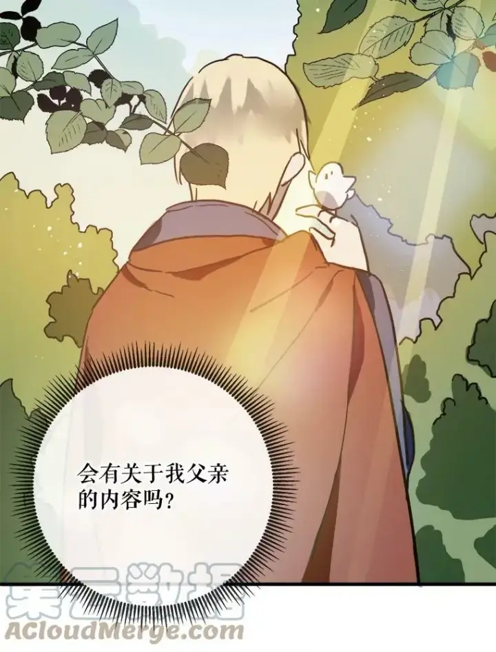 漫画《被嫌弃的私生女》43.偶遇阿尔贝拉（1）第16张图