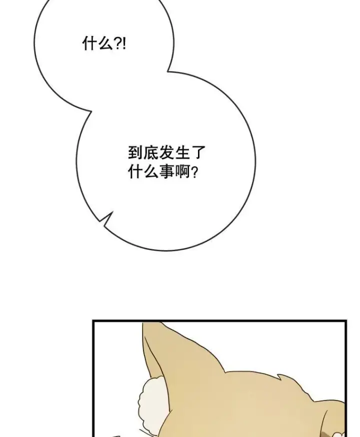 漫画《被嫌弃的私生女》50.正面冲突（3）第95张图
