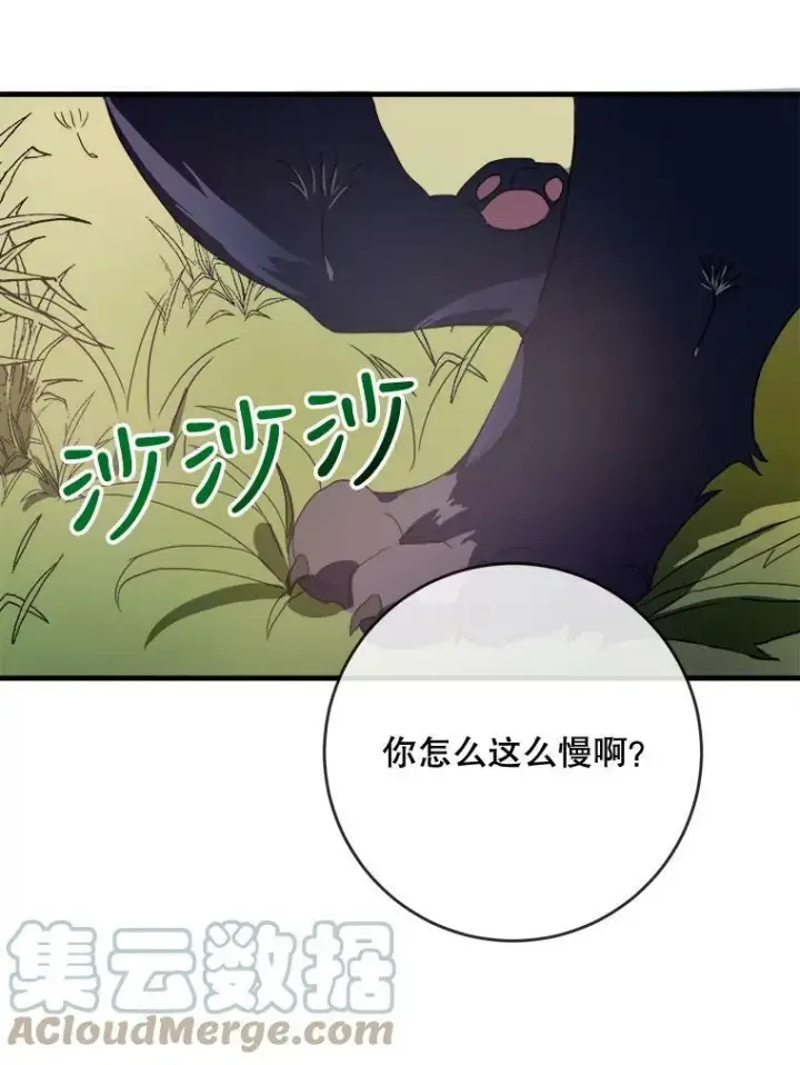 漫画《被嫌弃的私生女》52.玖多回城第9张图