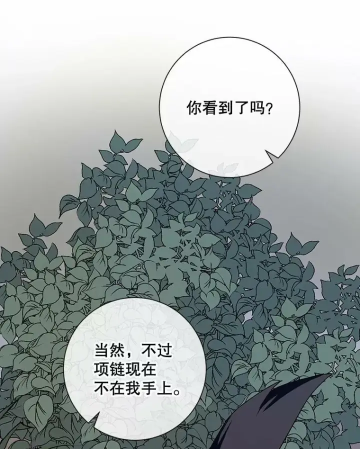 漫画《被嫌弃的私生女》63.丢失的项链第112张图