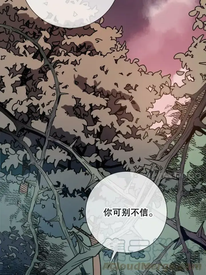 漫画《被嫌弃的私生女》89.奇怪的布谷鸟第37张图
