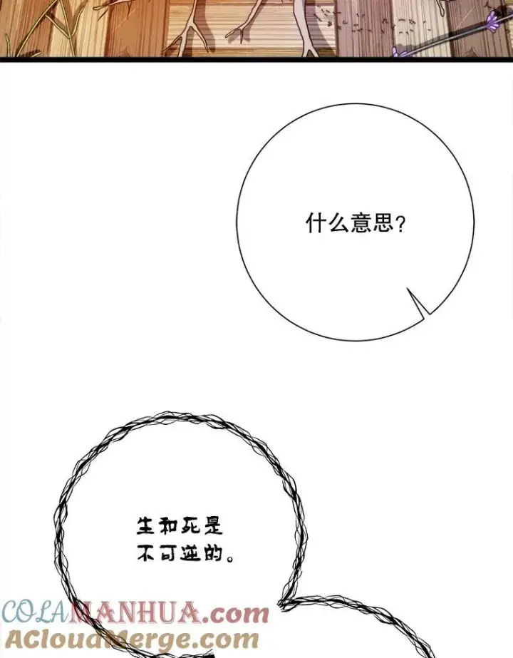 漫画《被嫌弃的私生女》111.巨人和花（2）第73张图