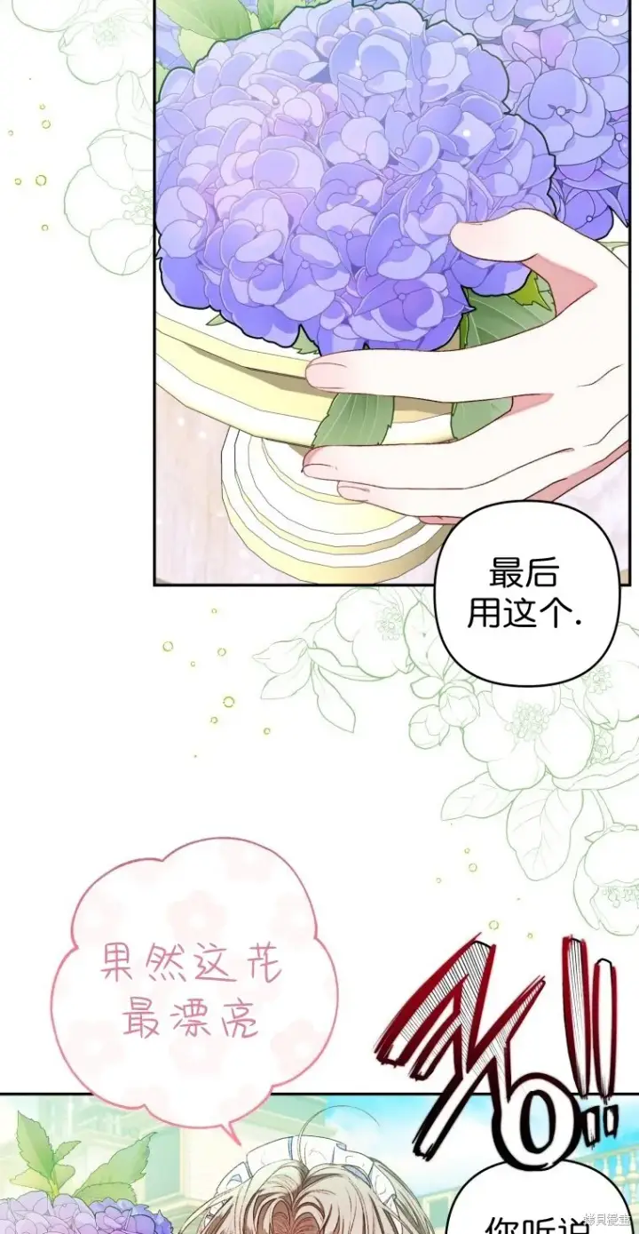 漫画《比起成为公主，侍女才是我的天职》第5话第4张图