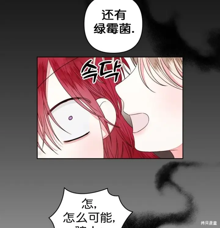 漫画《比起成为公主，侍女才是我的天职》第12话第41张图