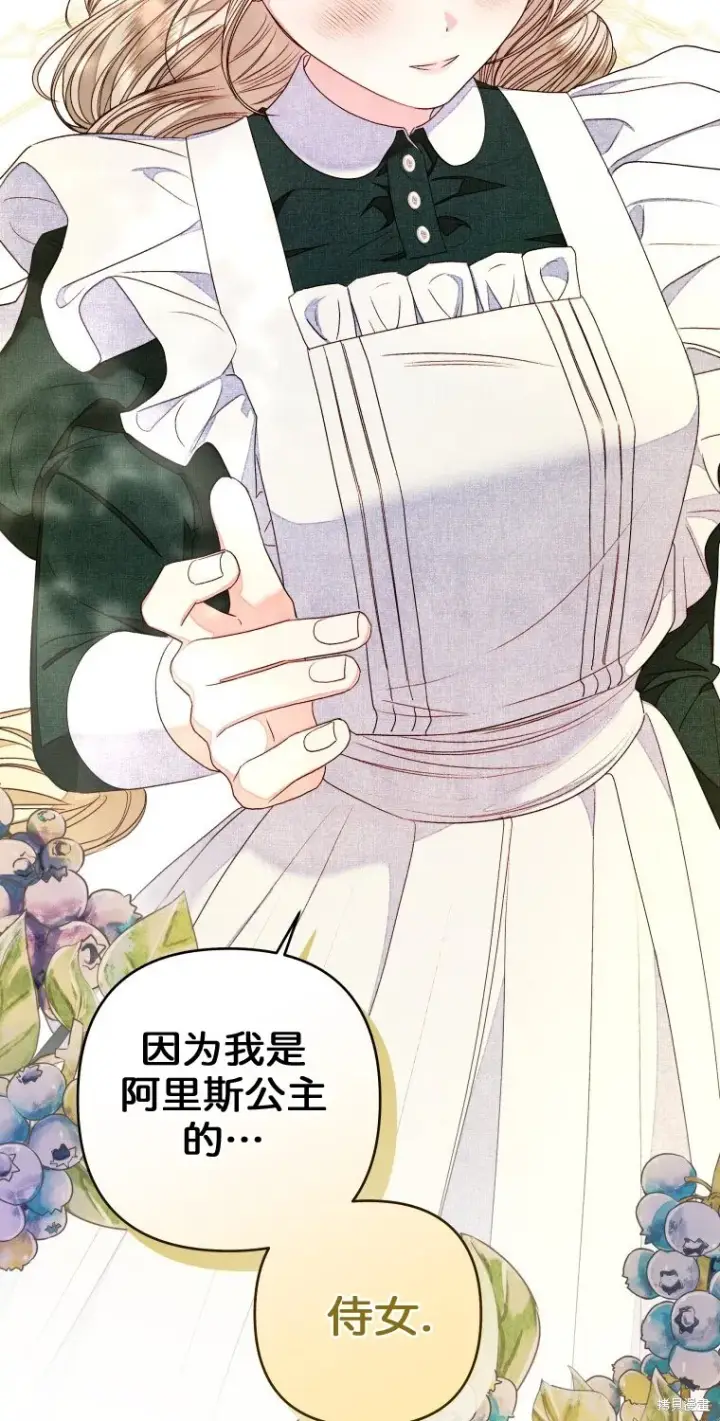漫画《比起成为公主，侍女才是我的天职》第14话第33张图
