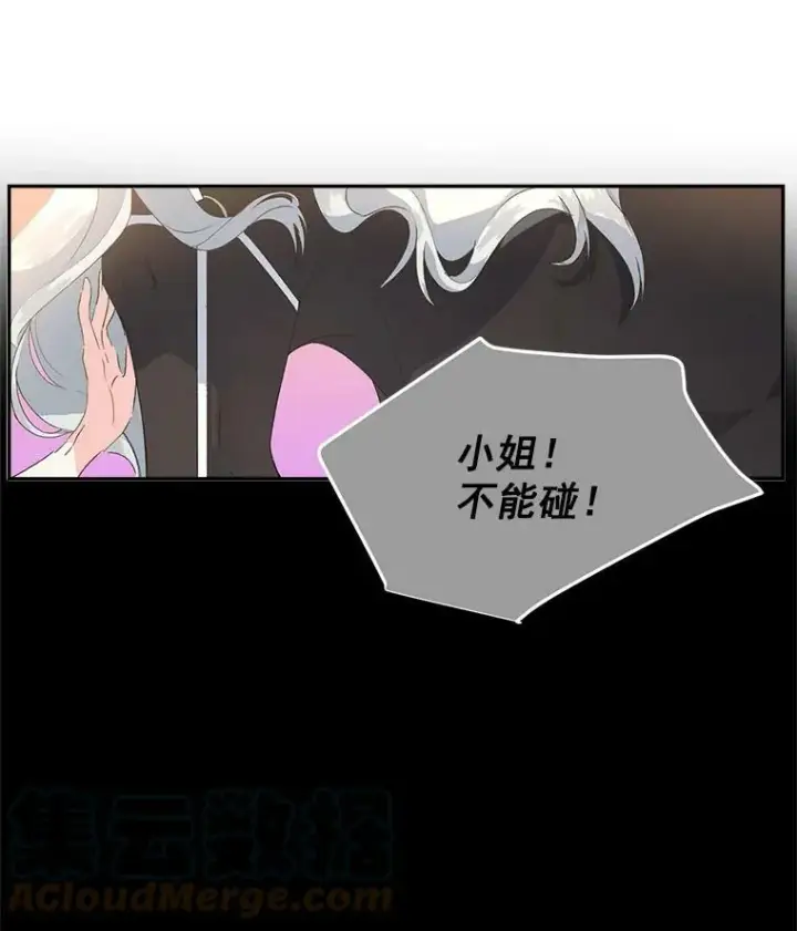 漫画《伯爵孤女的重生》14.大公的奖励第49张图