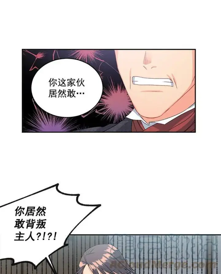漫画《伯爵孤女的重生》49.最后一击第28张图