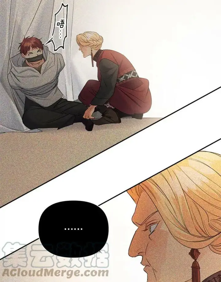 漫画《伯爵孤女的重生》87.往事第25张图