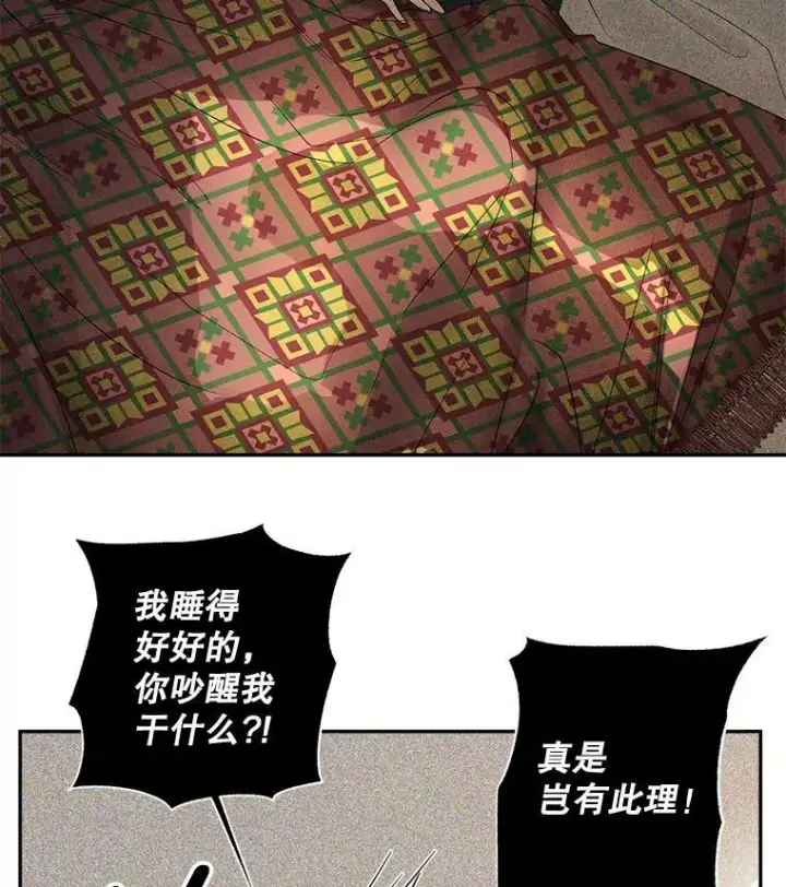 漫画《伯爵孤女的重生》87.往事第33张图