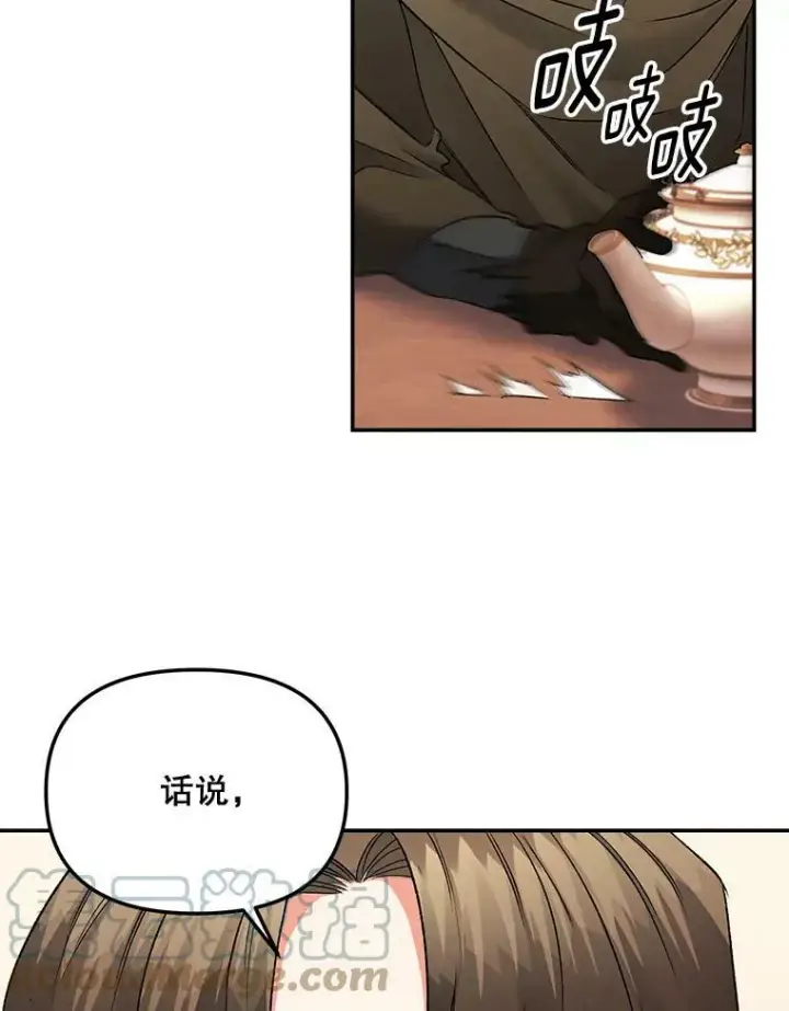 漫画《伯爵孤女的重生》109.会面第46张图