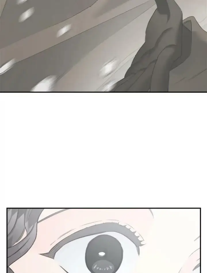 漫画《伯爵孤女的重生》110.监察官第99张图