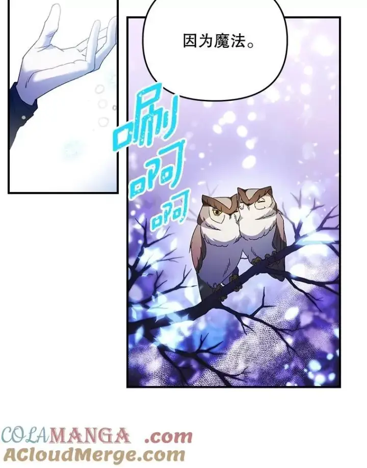 漫画《伯爵孤女的重生》127.魔法的由来第37张图