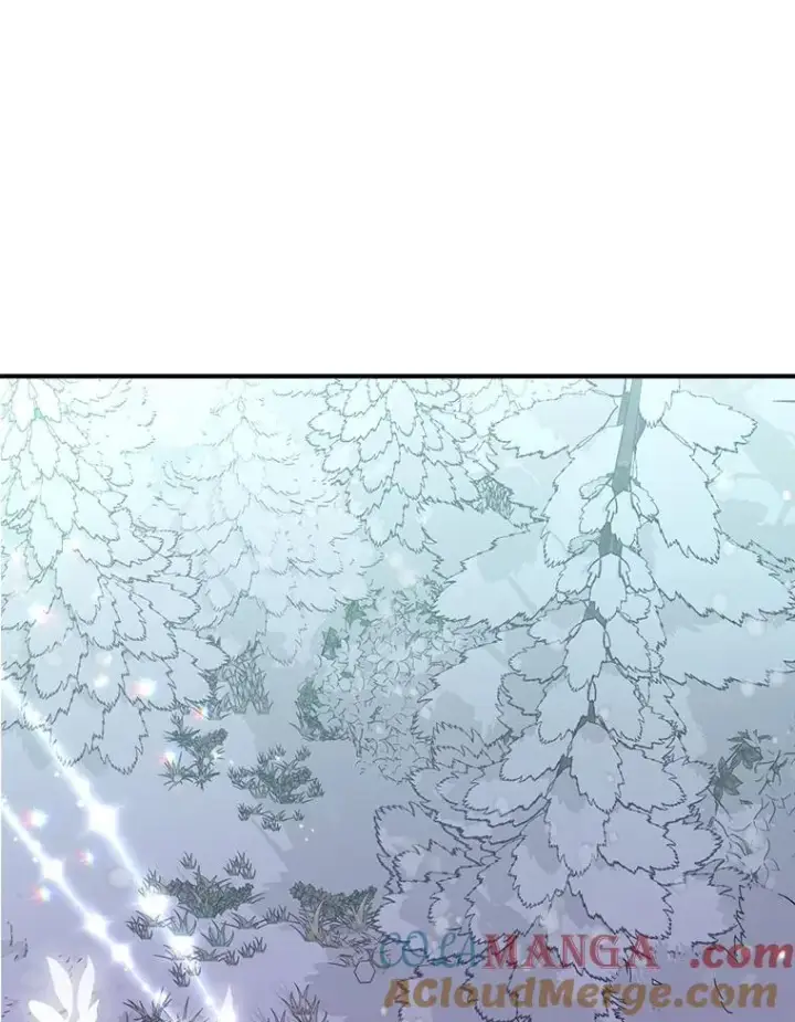 漫画《伯爵孤女的重生》127.魔法的由来第4张图
