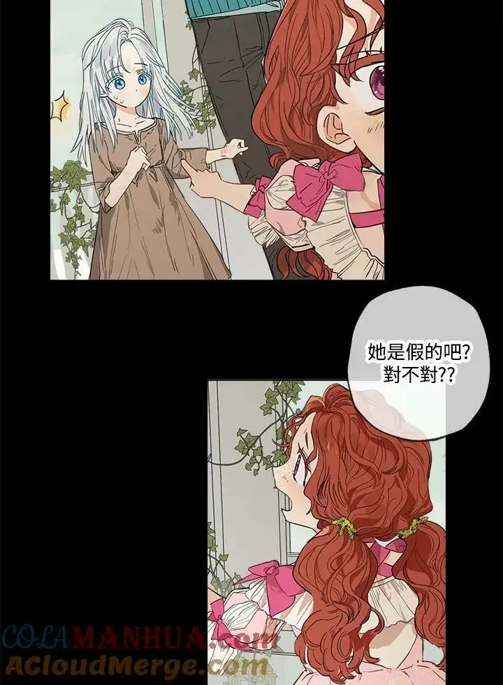 漫画《伯爵家私生女的婚后生活》第2话第46张图