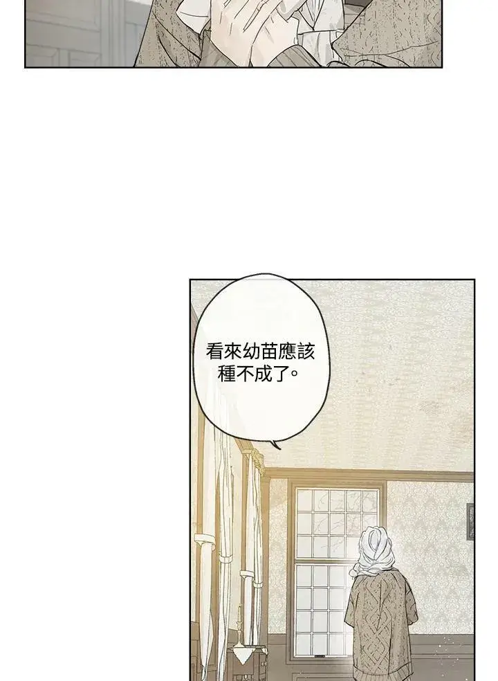 漫画《伯爵家私生女的婚后生活》第6话第6张图