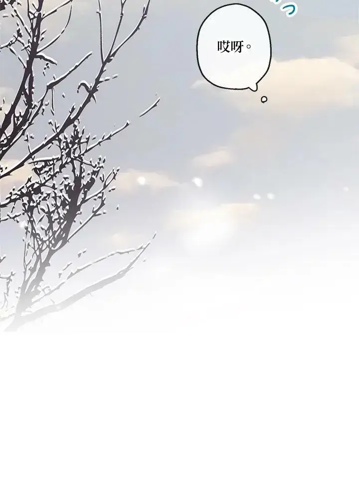 漫画《伯爵家私生女的婚后生活》第11话第12张图