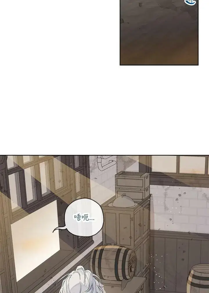 漫画《伯爵家私生女的婚后生活》第13话第44张图